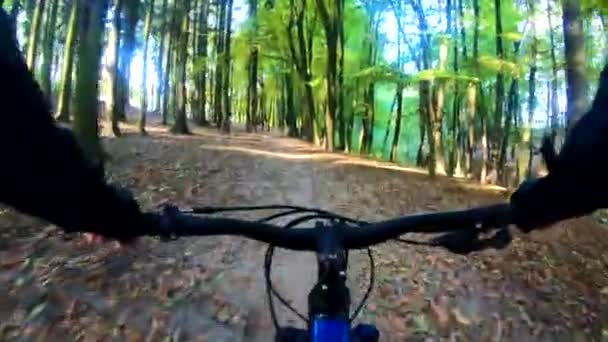 Amatööri ratsastaja polkupyörällä syksyllä puistossa
 - Materiaali, video