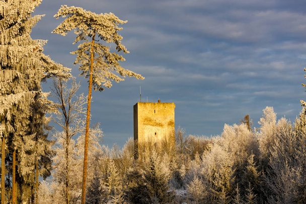 frosty morning in Landstejn castle, Czech Republic - Fotoğraf, Görsel