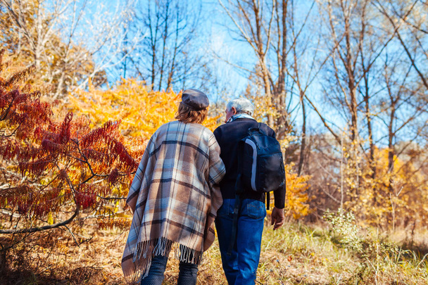 Fall activities. Senior couple walking in autumn park. Middle-aged man and woman hugging and chilling outdoors - Photo, Image