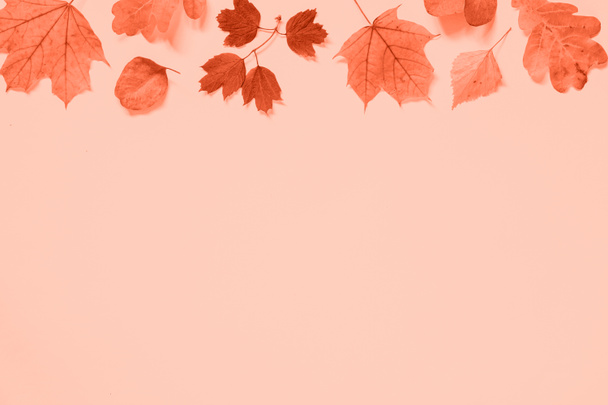 Herbst flach lag Hintergrund mit Blättern auf rosa. - Foto, Bild