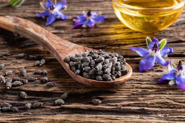 Borage seeds on a spoon, with borage oil and flowers in the back - Photo, Image