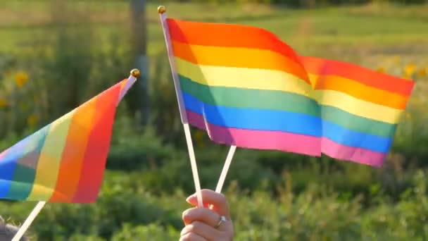 Female hands holding rainbow flags on a background of green grass and forest on summer sunny day. Symbol of LGBT Gay lesbian transgender queer rights, activism love equality and freedom - Footage, Video