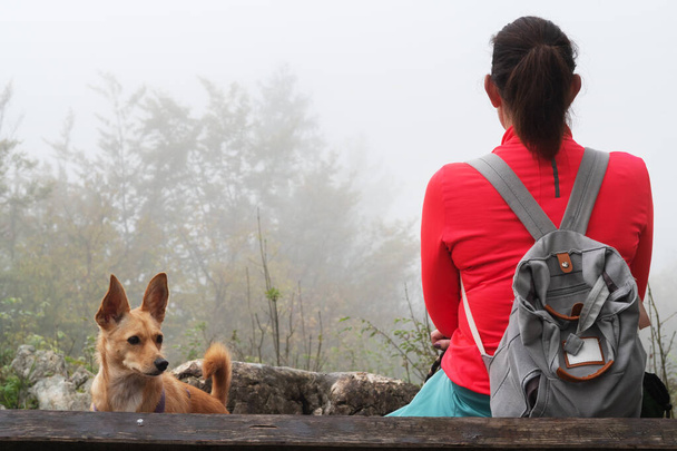 Wanderin sitzt mit Hund auf Bank und blickt in neblige Ferne - Foto, Bild
