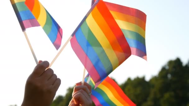 Symbol Lgbt Lesbijki geje transgender queer prawa, aktywizm miłość równość i wolność tęcza flagi na tle zielonej trawy i lasu w letni słoneczny dzień. - Materiał filmowy, wideo
