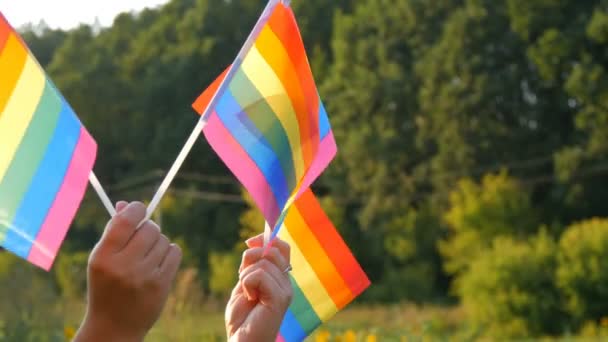 LGBTのシンボルゲイレズビアンのトランスジェンダーのクィアの権利、活動家は夏の晴れた日に緑の草や森を背景に平等と自由虹の旗を愛する. - 映像、動画