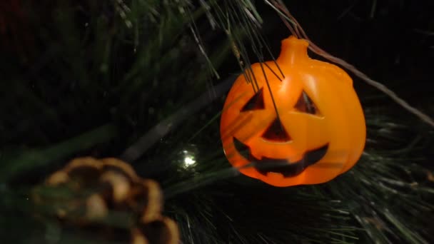 Pompoenen en karakter met licht gedecoreerd op boom in een feest om Halloween feest te vieren.Pompoenen en karakter met licht gedecoreerd op boom in een feest om Halloween festival te vieren. - Video