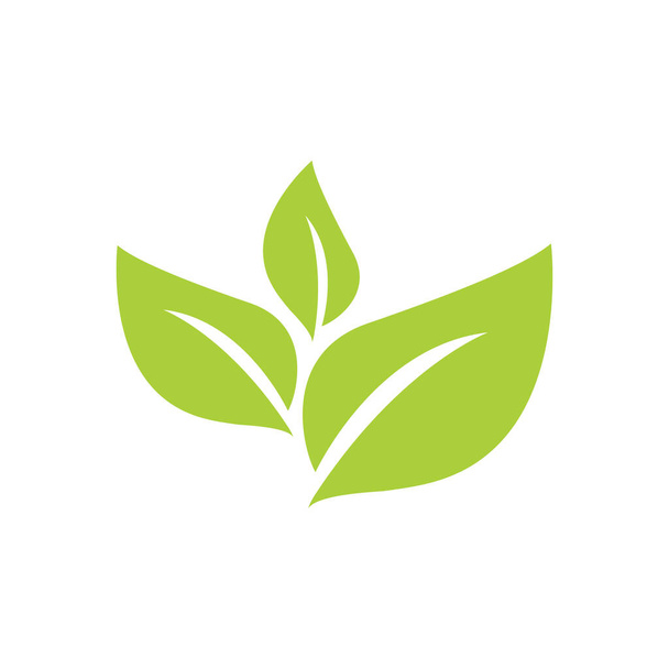 mezőgazdaság botanika zöld tea levél vektor logó tervezés - Vektor, kép