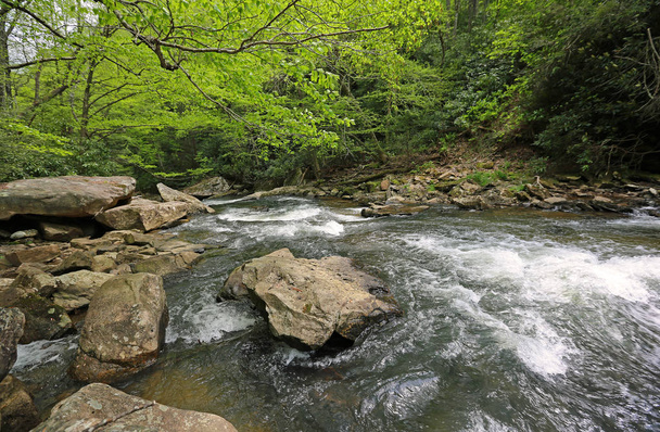 Sur le ruisseau Glade - Babcock State Park, Virginie-Occidentale
 - Photo, image