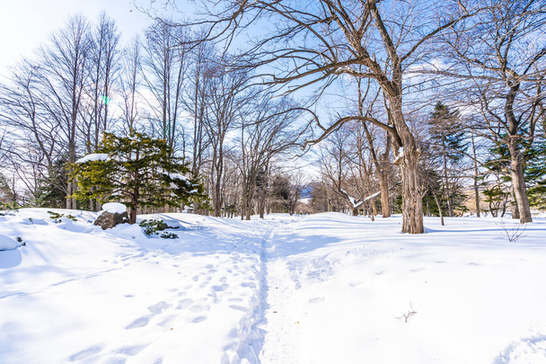 Hermoso paisaje con árbol en la nieve temporada de invierno
 - Foto, Imagen