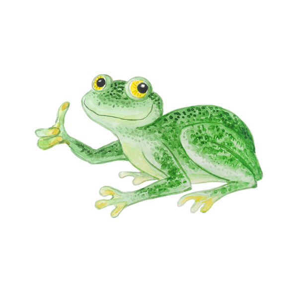 Zielona żaba odizolowana na białym tle. - Zdjęcie, obraz