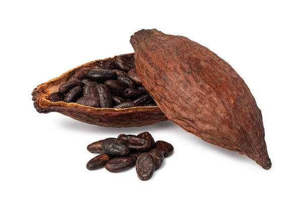 Kakaoschote - Foto, Bild