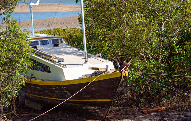 Un vieux bateau mouillé parmi les mangroves
 - Photo, image