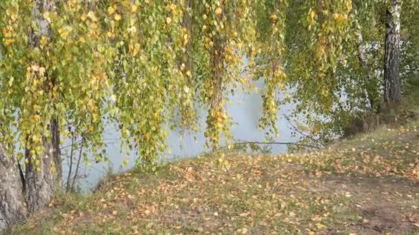 秋の水を背景に黒いドレスを着た女の子 - 映像、動画