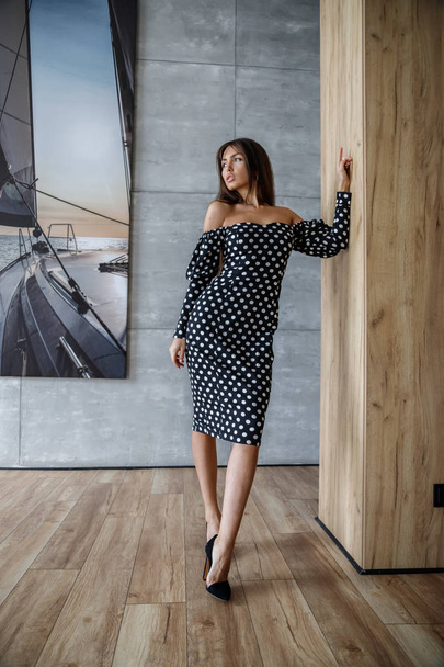 Beautiful sexy brunette in stylish dress posing in interior of apartments - Fotografie, Obrázek