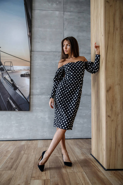 Beautiful sexy brunette in stylish dress posing in interior of apartments - Foto, imagen