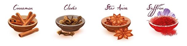 Vector set with assortment of spices and lettering cinnamon, cloves, star anise, saffron. - Vector, Image