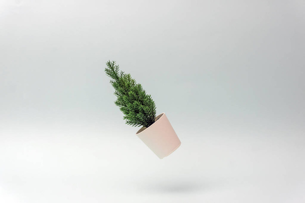 Minimalista karácsonyfa (lucfenyő) kék alapon.  - Fotó, kép