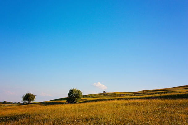 Beautiful pasture with blue sky - Photo, Image