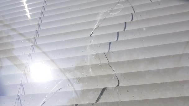 Una ventana sucia con una grieta a lo largo de la altura del vidrio. Persianas blancas de fondo. El sol brilla
 - Imágenes, Vídeo