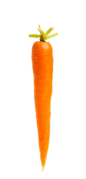 Морковь изолирована
  - Фото, изображение