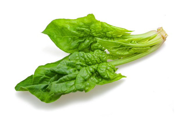 Green fresh spinach - Фото, изображение