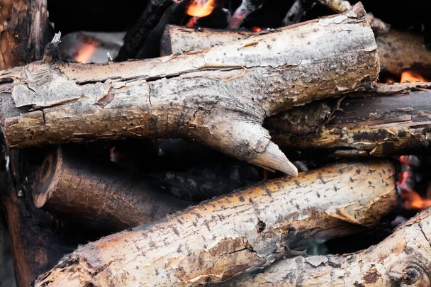 brandende hout bomen in het vuur close-up - Foto, afbeelding