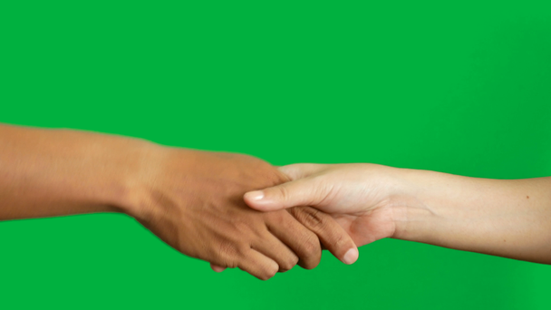 4K. uomo e donna in differenza colore della pelle stringendo le mani per accordo affare isolato su croma chiave sfondo schermo verde
 - Filmati, video
