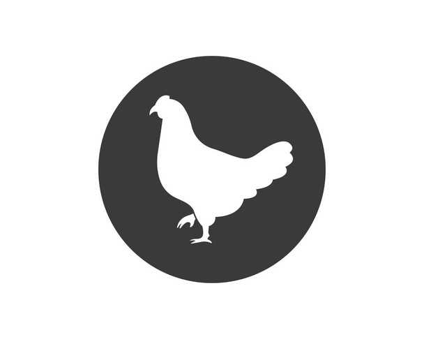 csirke logo ikon vektoros illusztráció - Vektor, kép