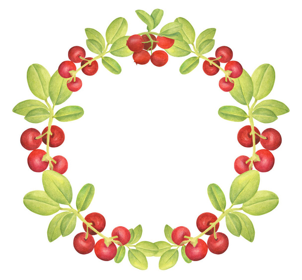Watercolor cowberry round frame. Hand drawn floral wreath with red berries and leaves. Forest plant template for design, greeting card, wedding invitation, wrapping, food packaging, decoration. - Fotó, kép