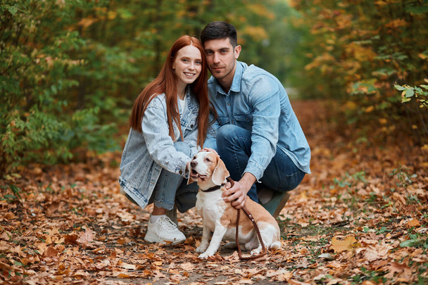 awesome happy careless young man and woman sitting with their nice dog - Fotoğraf, Görsel