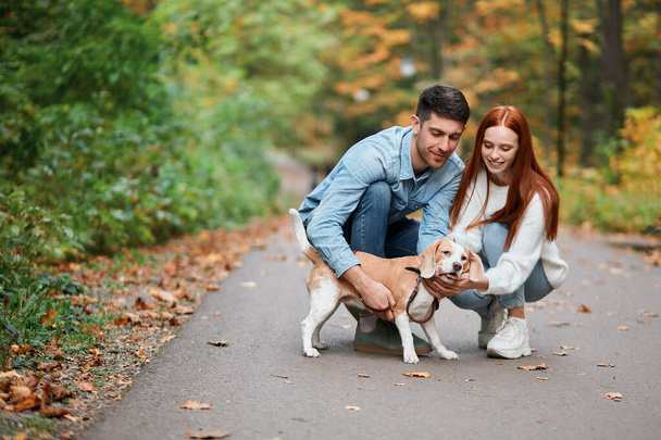 young good looking man and woman taming their dog - Photo, image