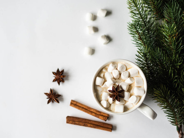 Bílý hrnek s kakaem s kořením a marshmallows a jedlovou větví na bílém pozadí. pohled shora. Kopírovat prostor - Fotografie, Obrázek