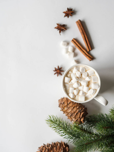 White mug with cacao with spices and marshmallows and fir branch on white background. top view. Copy space - Foto, Imagen