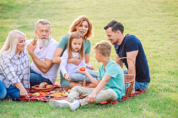 Velká rodina na pikniku v parku - Fotografie, Obrázek