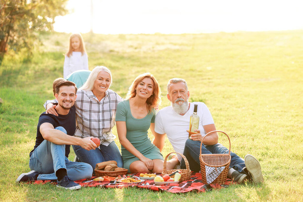 Iso perhe ottaa piknik puistossa
 - Valokuva, kuva
