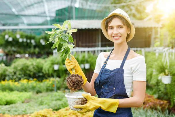 Portret van een gelukkige mooie vrouw in hoed en schort nemen bloem uit pot om het te planten in de grond in de tuin - Foto, afbeelding