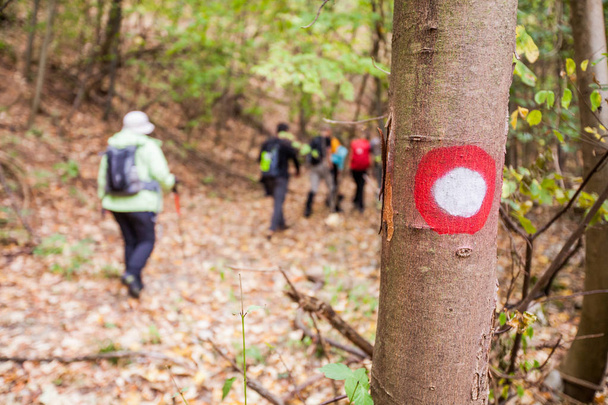 Senderismo sendero marcado en el bosque personas activas senderismo
  - Foto, imagen
