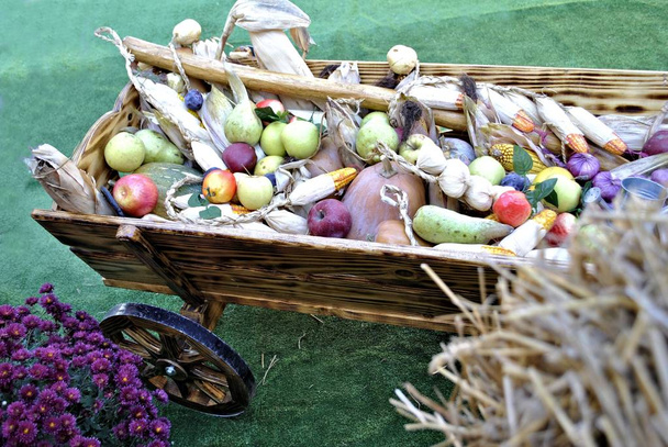 Čerstvé organické přírodní tradiční sezóna produkt dlouhověkost gurmánské lahodné stravy - Fotografie, Obrázek