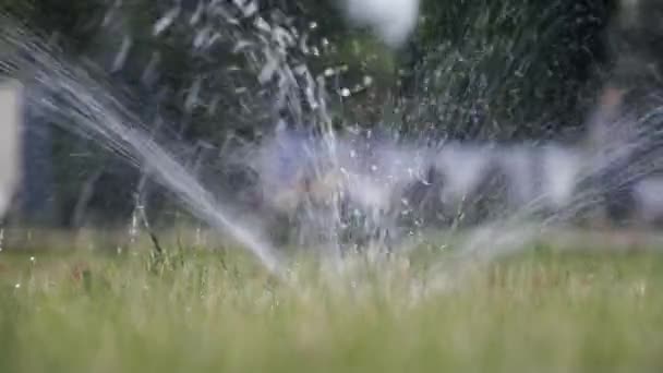 Ein kleiner Brunnen auf dem Rasen versprüht Wasser - Filmmaterial, Video