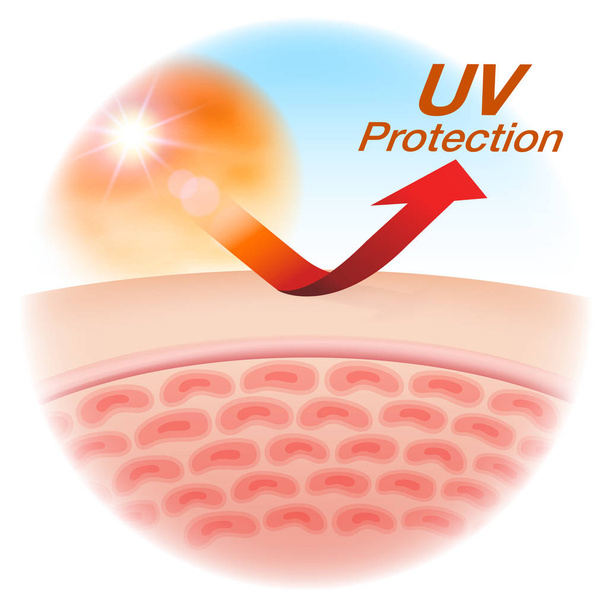 Schützen Sie Ihre Haut mit UV-Schutz. Werbung für Kosmetik, Sonnencreme, Lotion, serum.vector realistische Datei. - Vektor, Bild