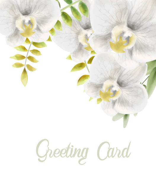 Υδατογραφία λευκή ορχιδέα λουλούδια διάνυσμα ευχετήρια κάρτα. Background ανθοδέσμες - Διάνυσμα, εικόνα