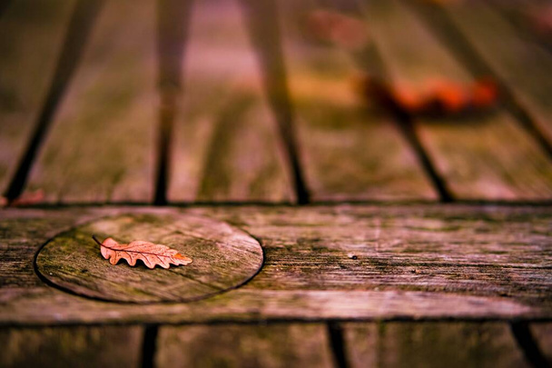 Jesienne liście na drewnianym tle - Zdjęcie, obraz