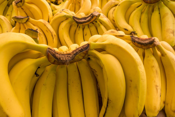 branches of fragrant fresh ripe bananas on the market background texture - Photo, Image