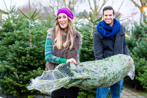 Couple carrying bought Christmas tree - Photo, Image
