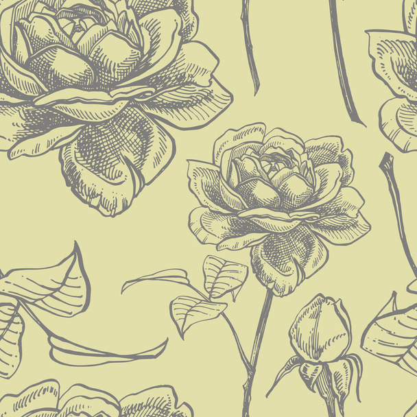 Τριαντάφυλλα. Χειροποίητη διακόσμηση λουλουδιών. Απεικόνιση βοτανικών φυτών. Vintage φαρμακευτικά βότανα σκίτσο σετ του χεριού μελάνι που σχεδιάζονται ιατρικά βότανα και φυτά σκίτσο. Απρόσκοπτη μοτίβα - Διάνυσμα, εικόνα