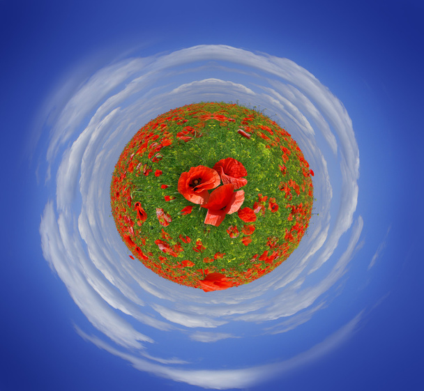 Poppy planet - Photo, Image
