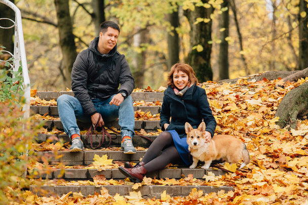 Happy couple playing with Corgi dog in sunny autumn park. - Fotoğraf, Görsel