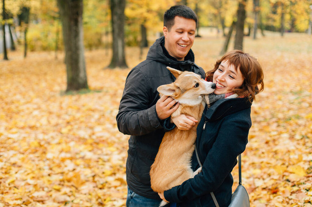 Happy couple playing with Corgi dog in sunny autumn park. - Φωτογραφία, εικόνα