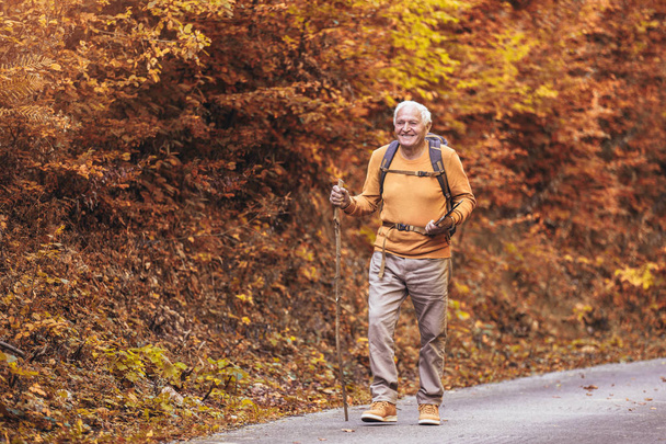 Senior wandert im Herbstwald. - Foto, Bild