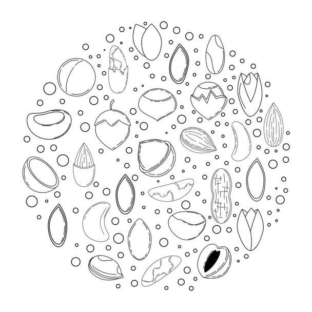 Concept de carte de noix. Illustration vectorielle pour le design et le web
 - Vecteur, image